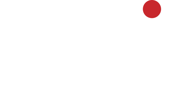 Serval IT Systems