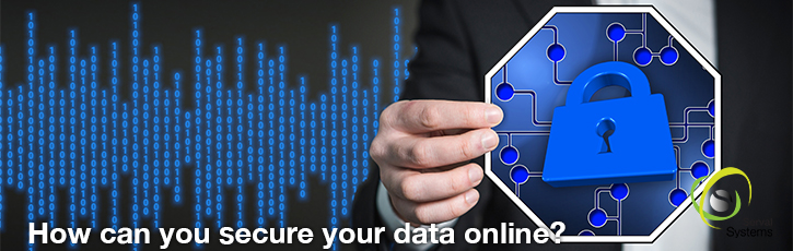 How can you secure your data online?