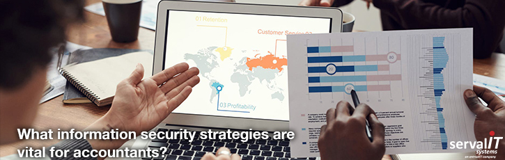 What information security strategies are vital for accountants?